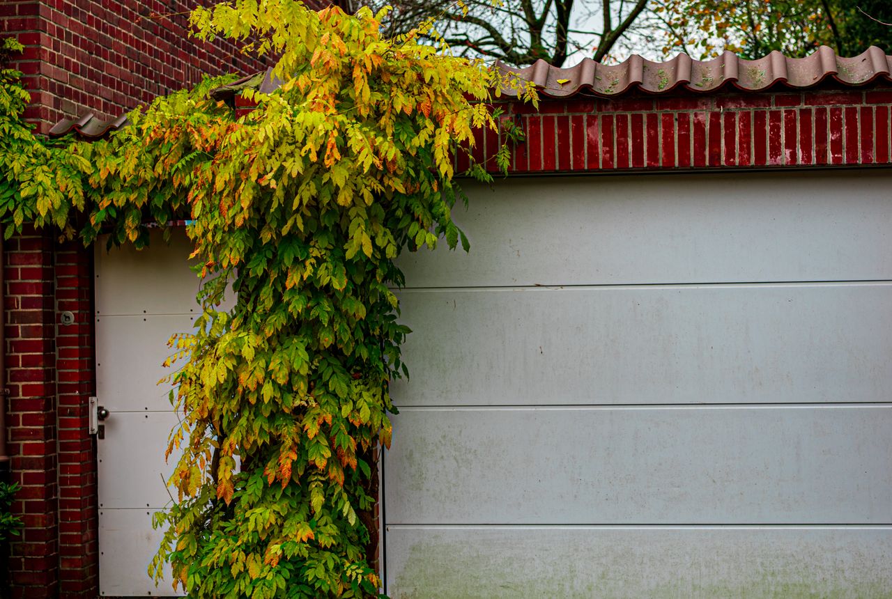 Garage door service in Hendersonville, NC